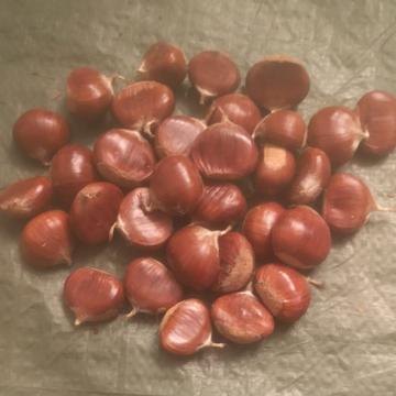Small chestnuts