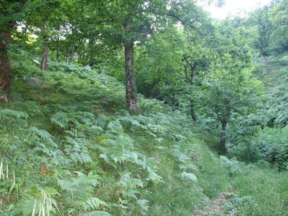 foto_87