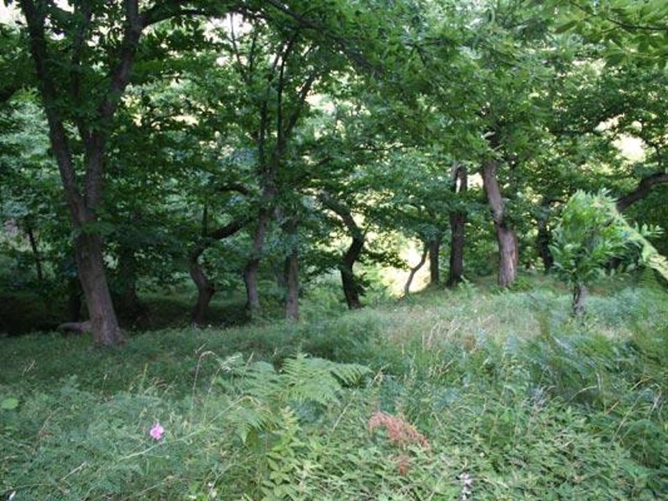 foto_89