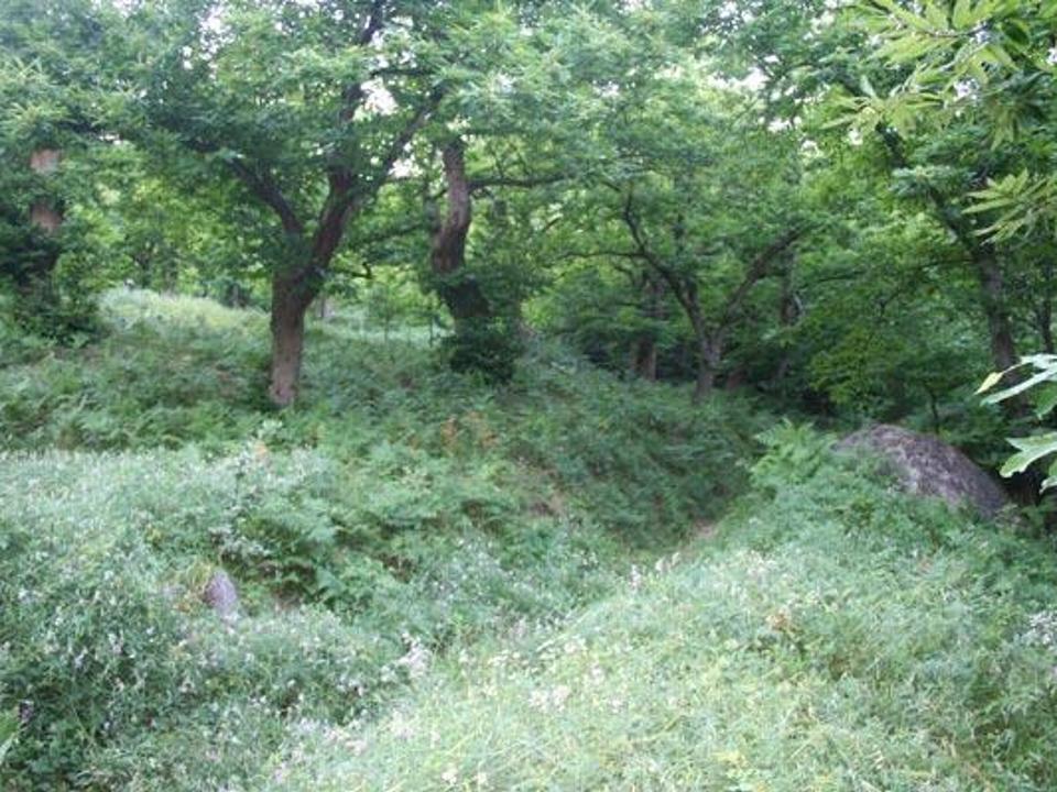foto_93