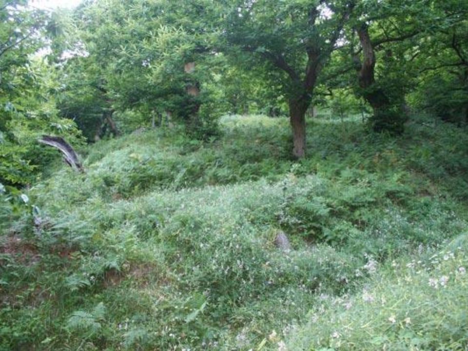 foto_94