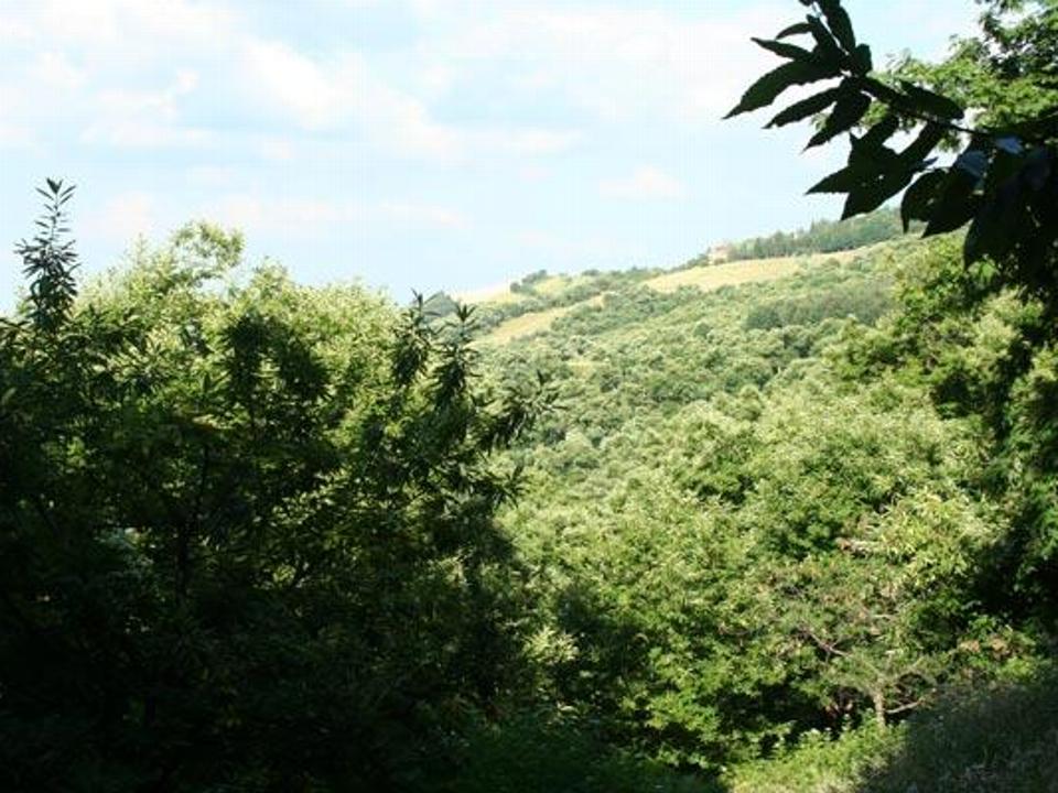 foto_95