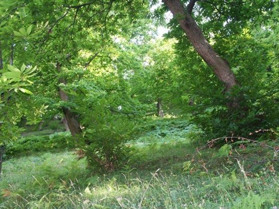 foto_97