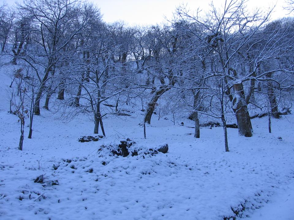 foto_128