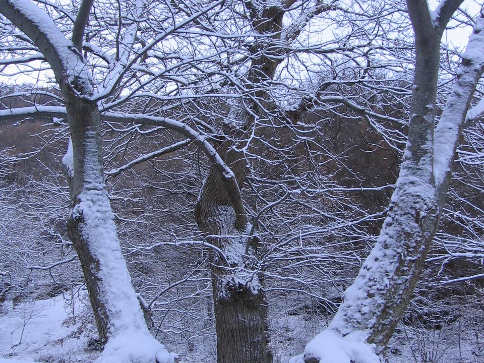 foto_131
