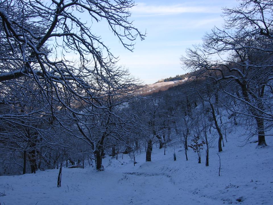 foto_132
