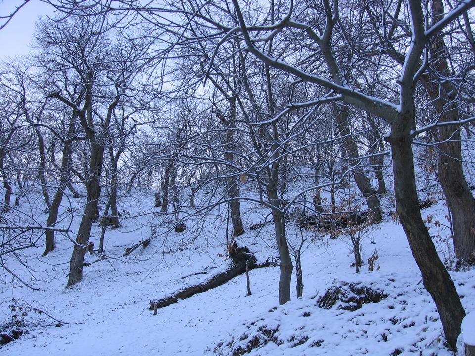 foto_133