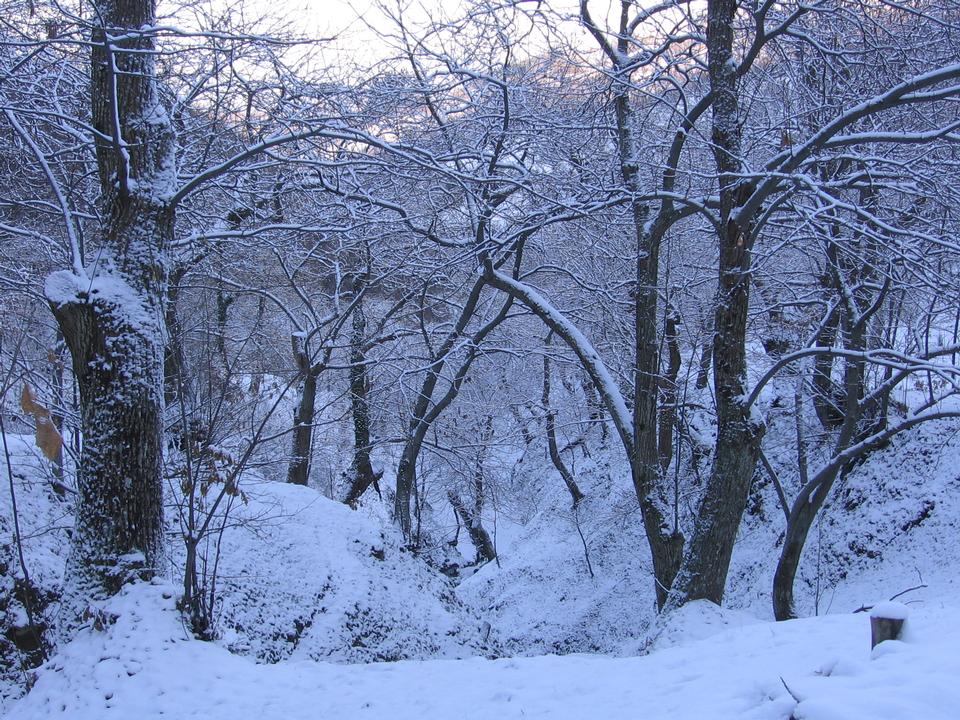 foto_134