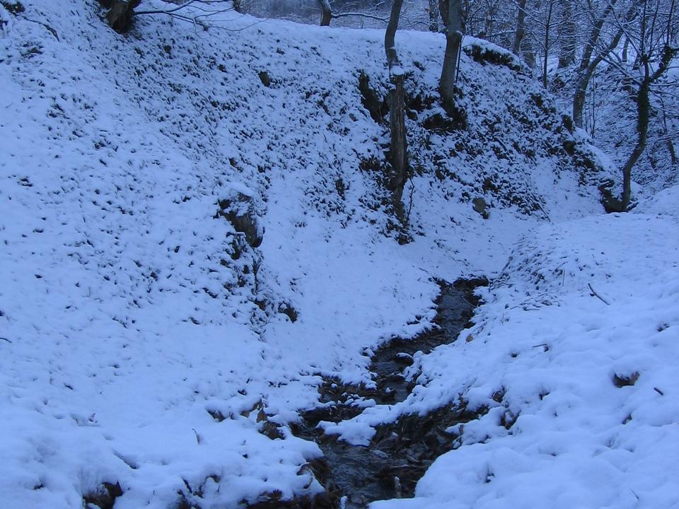 foto_135