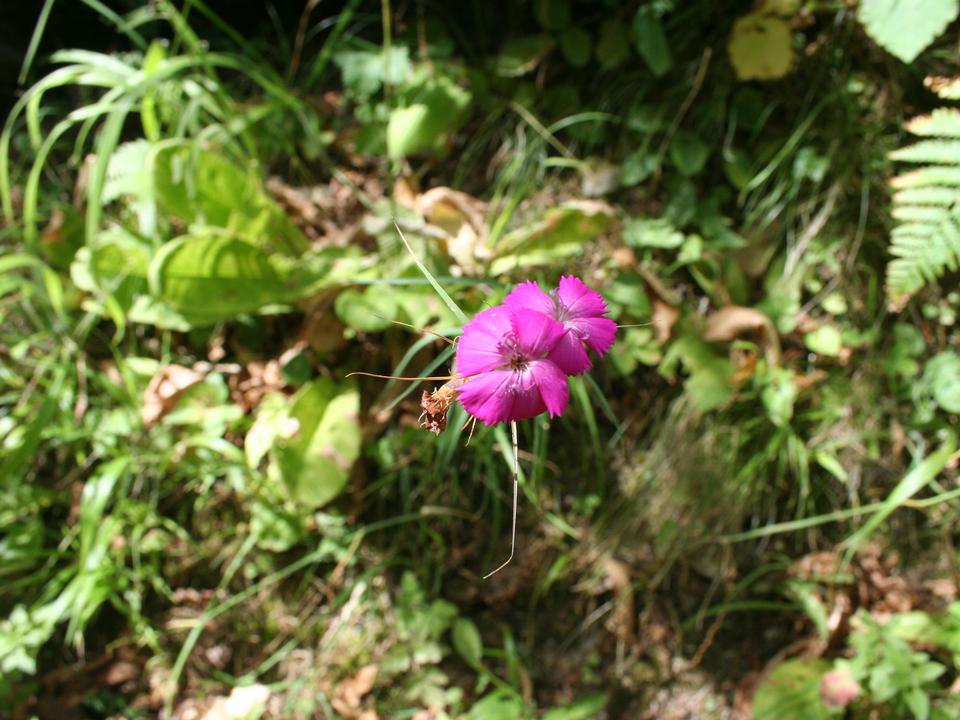 foto_148