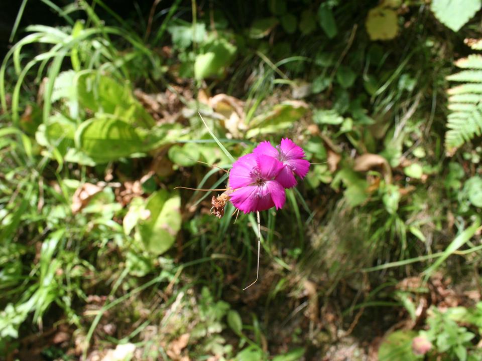 foto_114